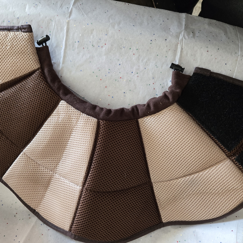 Brown and Cream Dog Cone  New Med?